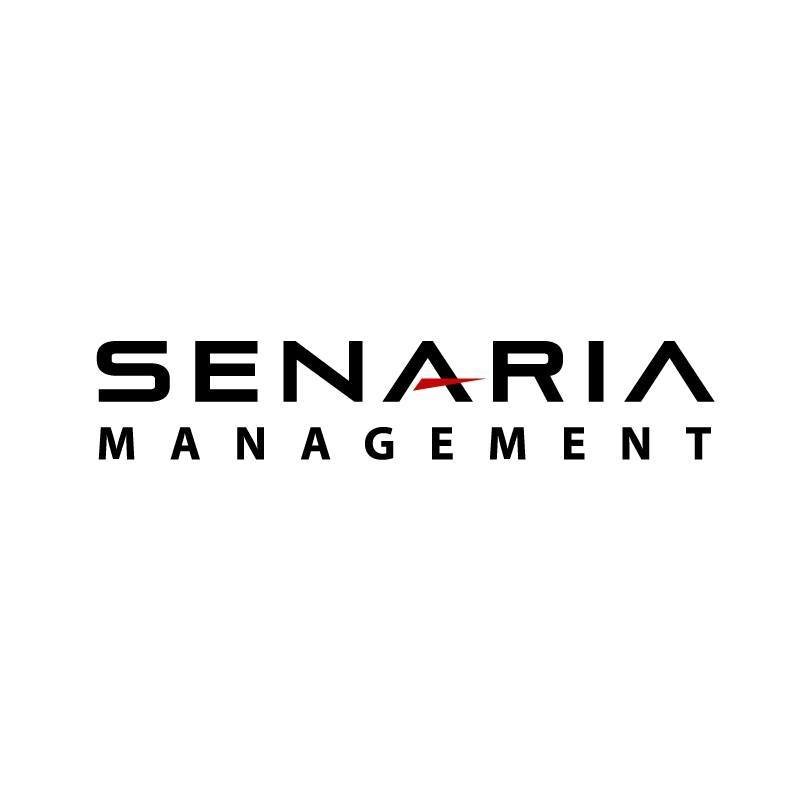 Senaria Management - Firma de consultanta